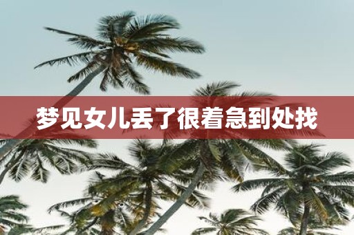梦见女儿丢了很着急到处找