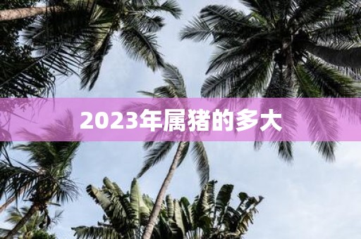 2025年属猪的多大