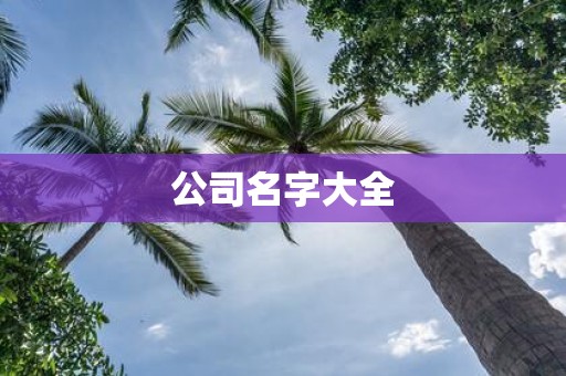 公司名字大全