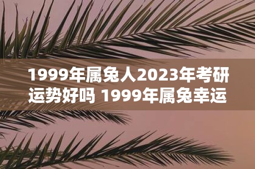 1999年属兔人2025年考研运势好吗 1999年属兔幸运数字