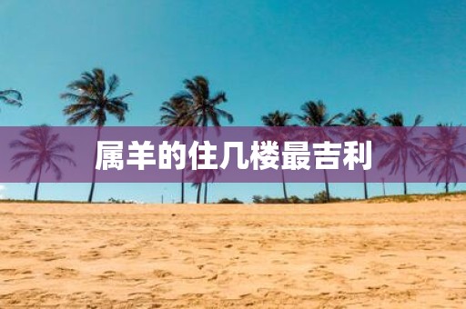 属羊的住几楼最吉利