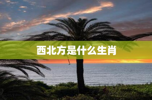 西北方是什么生肖