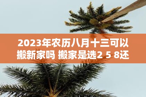 2025年农历八月十三可以搬新家吗 搬家是选2 5 8还是3 6 9