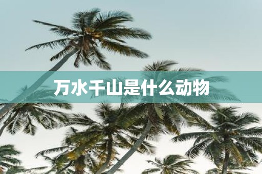 万水千山是什么动物