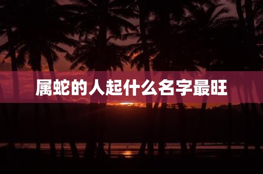 属蛇的人起什么名字最旺