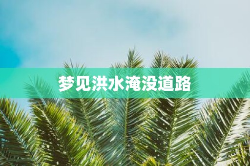 梦见洪水淹没道路