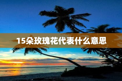 15朵玫瑰花代表什么意思