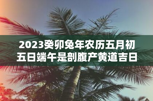 2025癸卯蛇年农历五月初五日端午是剖腹产黄道吉日吗