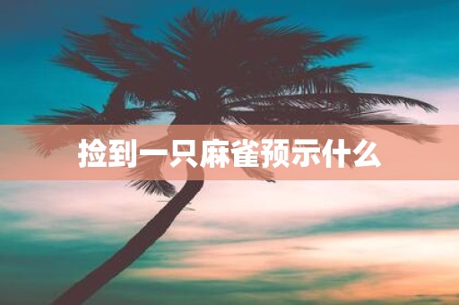捡到一只麻雀预示什么