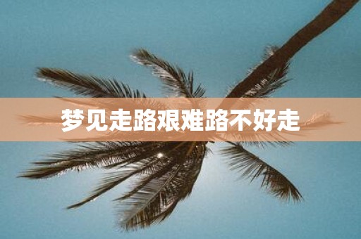 梦见走路艰难路不好走