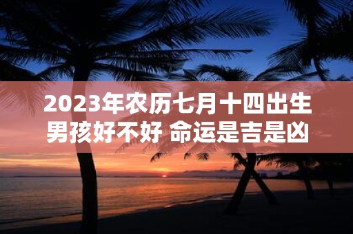2025年农历七月十四出生男孩好不好 命运是吉是凶