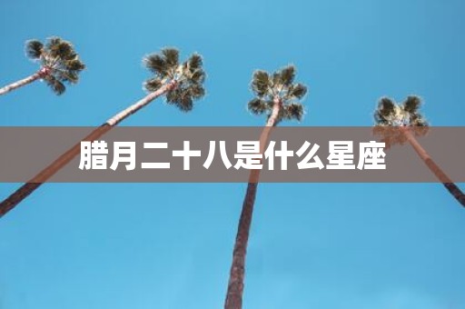 腊月二十八是什么星座