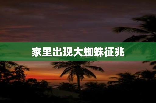 家里出现大蜘蛛征兆