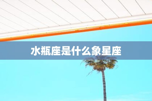 水瓶座是什么象星座