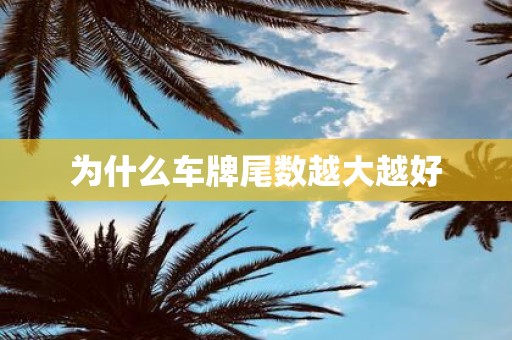 为什么车牌尾数越大越好