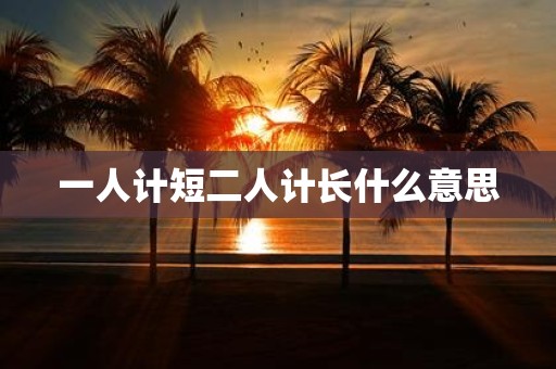 一人计短二人计长什么意思