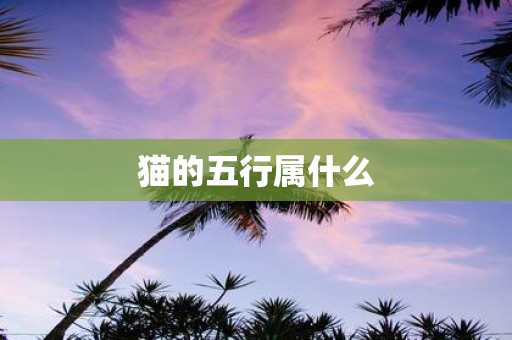 猫的五行属什么