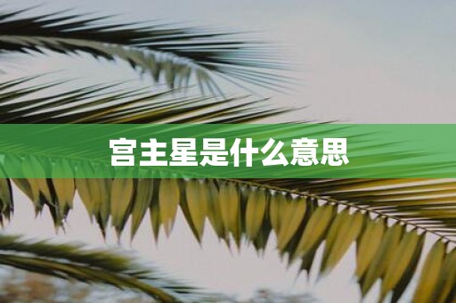 宫主星是什么意思