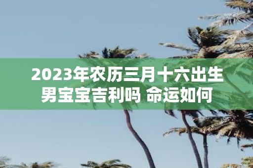 2025年农历三月十六出生男宝宝吉利吗 命运如何