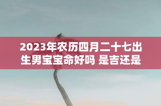 2025年农历四月二十七出生男宝宝命好吗 是吉还是凶