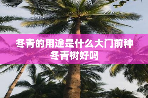冬青的用途是什么大门前种冬青树好吗