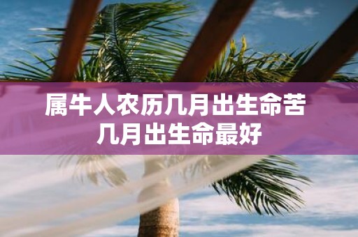 属牛人农历几月出生命苦 几月出生命最好