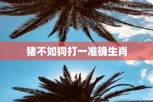猪不如狗打一准确生肖