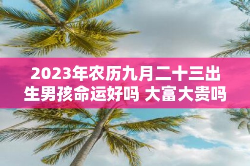 2025年农历九月二十三出生男孩命运好吗 大富大贵吗