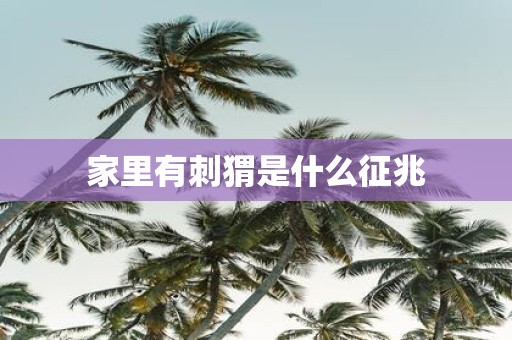 家里有刺猬是什么征兆