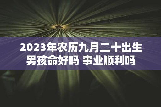 2025年农历九月二十出生男孩命好吗 事业顺利吗