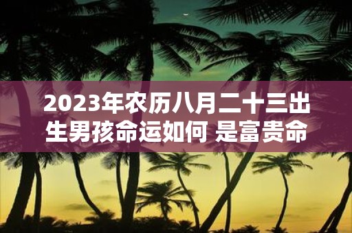 2025年农历八月二十三出生男孩命运如何 是富贵命吗