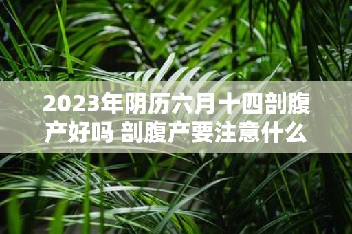 2025年阴历六月十四剖腹产好吗 剖腹产要注意什么