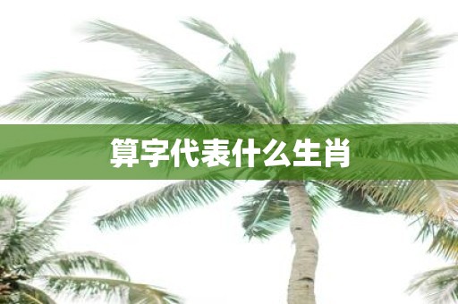 算字代表什么生肖