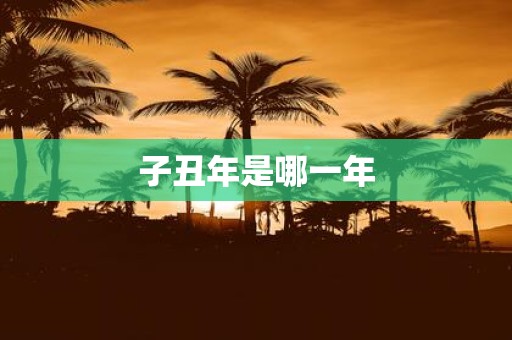 子丑年是哪一年