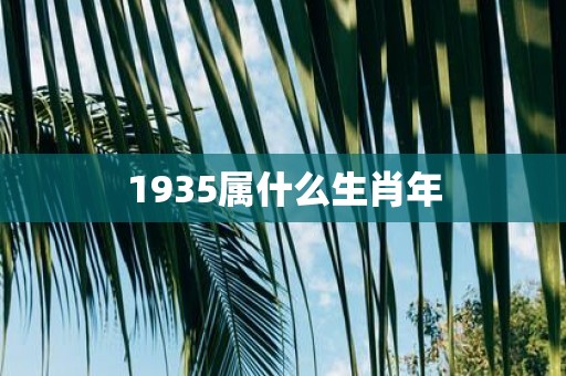 1935属什么生肖年