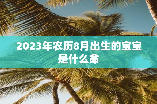 2025年农历8月出生的宝宝是什么命