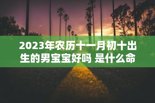 2025年农历十一月初十出生的男宝宝好吗 是什么命