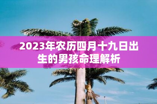 2025年农历四月十九日出生的男孩命理解析
