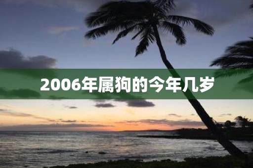 2006年属狗的今年几岁