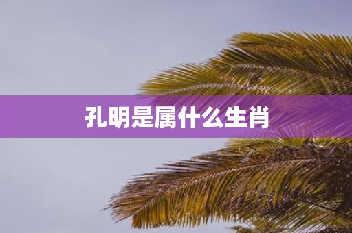 孔明是属什么生肖