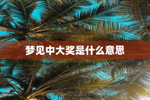 梦见中大奖是什么意思