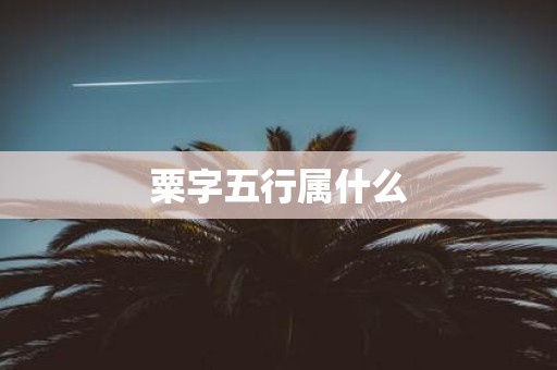 粟字五行属什么