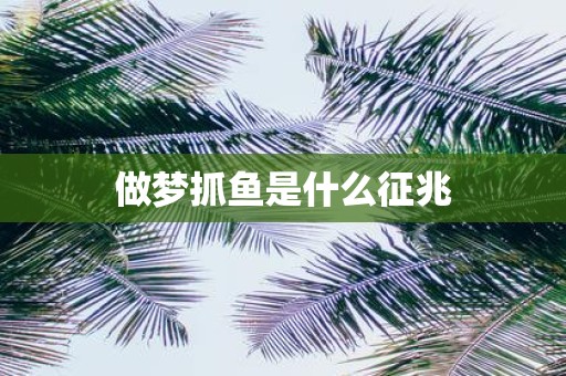做梦抓鱼是什么征兆