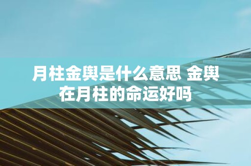 月柱金舆是什么意思 金舆在月柱的命运好吗