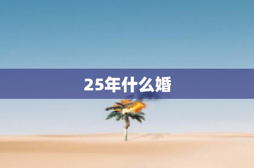 25年什么婚