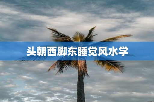 头朝西脚东睡觉风水学