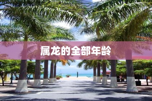 属龙的全部年龄