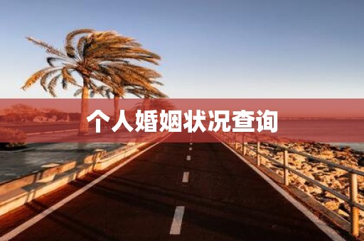 个人婚姻状况查询