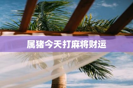 属猪今天打麻将财运