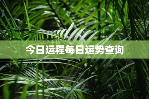 今日运程每日运势查询